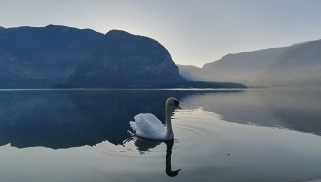 회갑기념 자유여행.프라하에서 비엔나까지